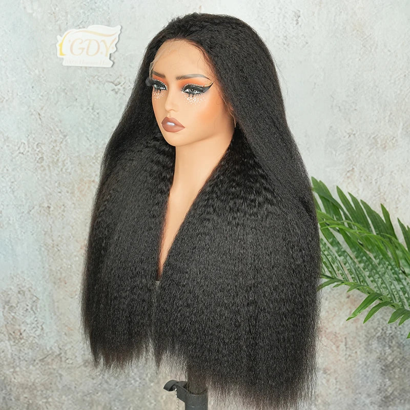 13x4 HD Lace Wig Double Drawn Kinky Straight Raw Virgin Human Hair Wigs Invisible HD Lace Melt Skins Pre Plucked Natural Color